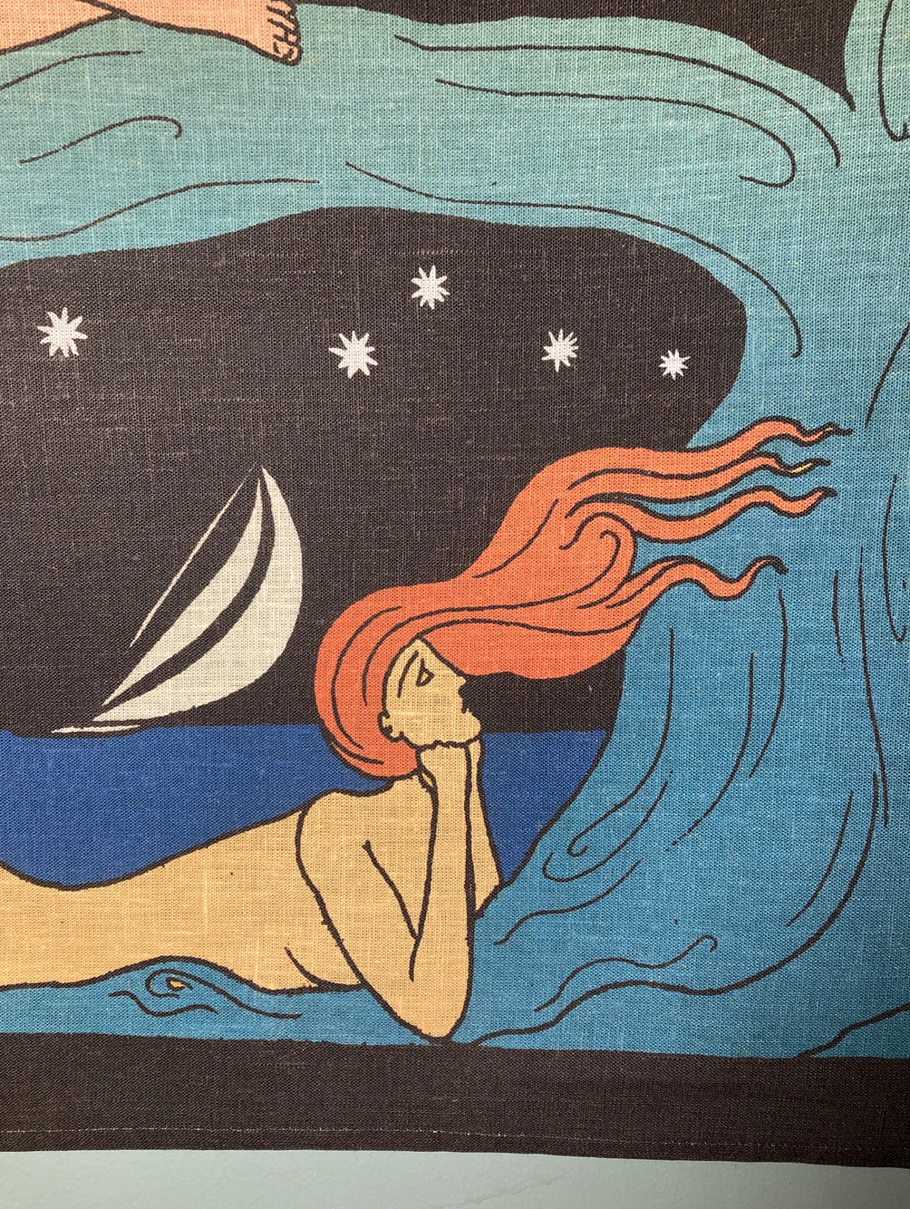 Pelicans & the Pleiades Tapestry