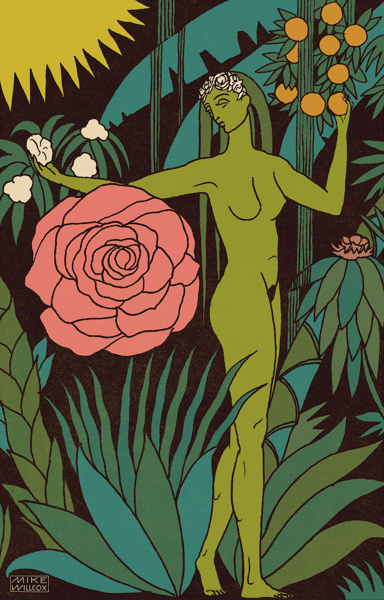 The Garden
