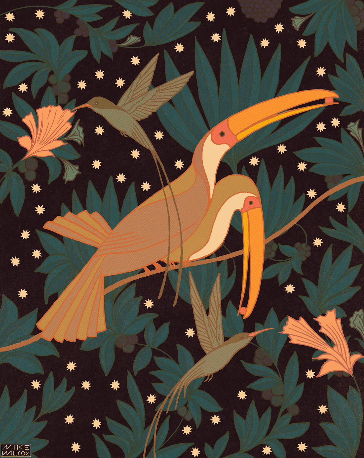 Doctorbirds & Toucans